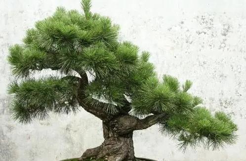 �޺���3(1).jpg