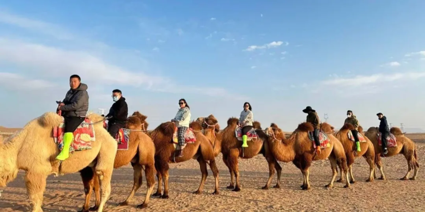 1764299139821737.png 企业微信截图_17642993265151.png