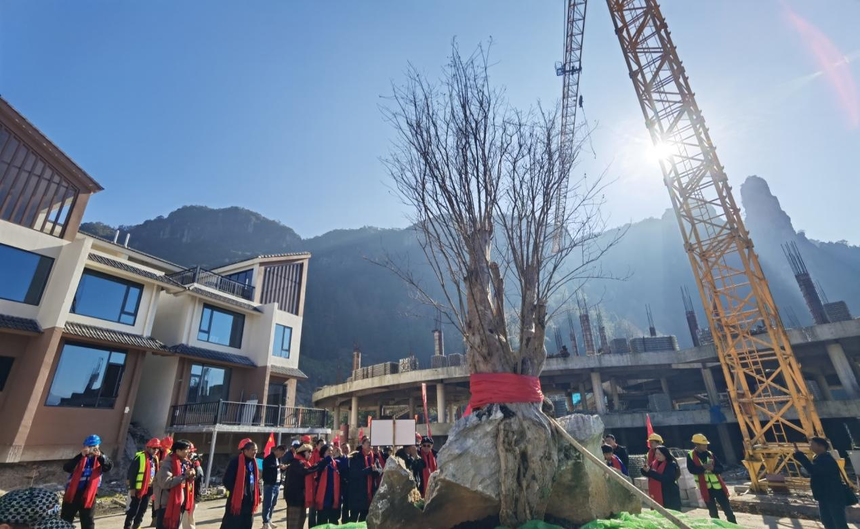 1736470142924899.png 1736470142924899.png