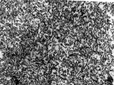 201505191432026582850031.jpg