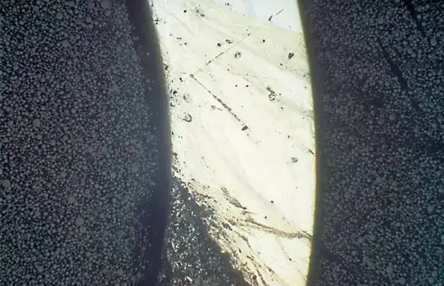 ΢ňDƬ_20240826202608.png