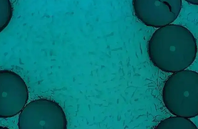 ΢ňDƬ_20240826210004.png