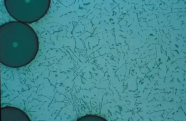 ΢ňDƬ_20240826210009.png