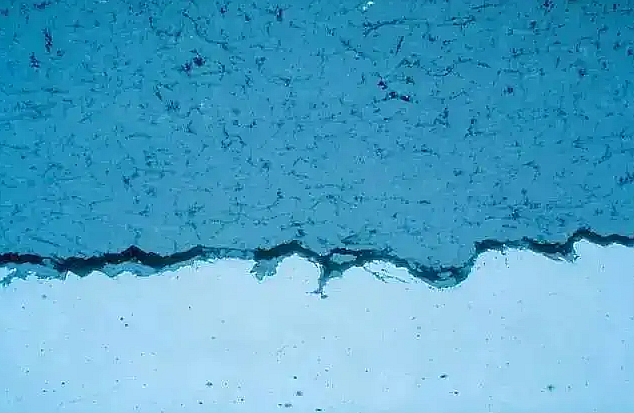 ΢ňDƬ_20240826210020.png