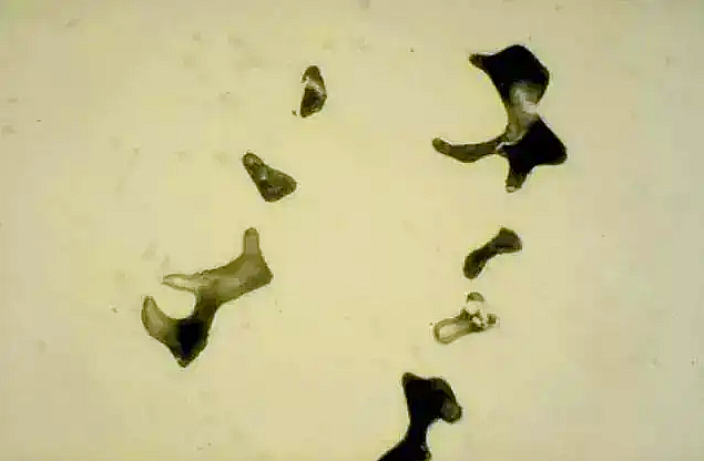 ΢ňDƬ_20240826212051.png