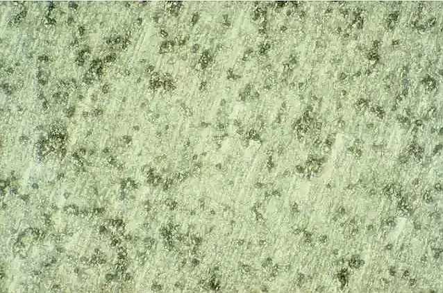 ΢ňDƬ_20240826214027.png