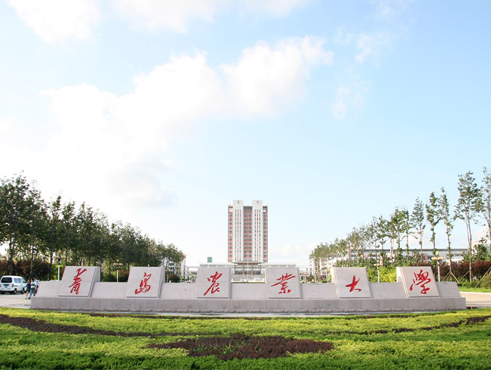 δ(bio)}-8(1).jpg
