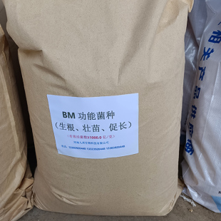 BM生物肥功能菌