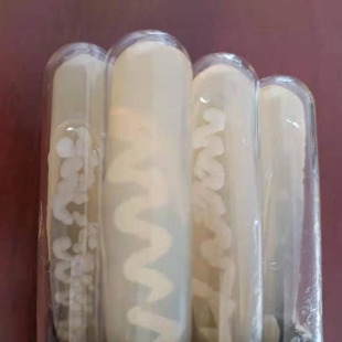 蘇云金桿菌標(biāo)準(zhǔn)菌株