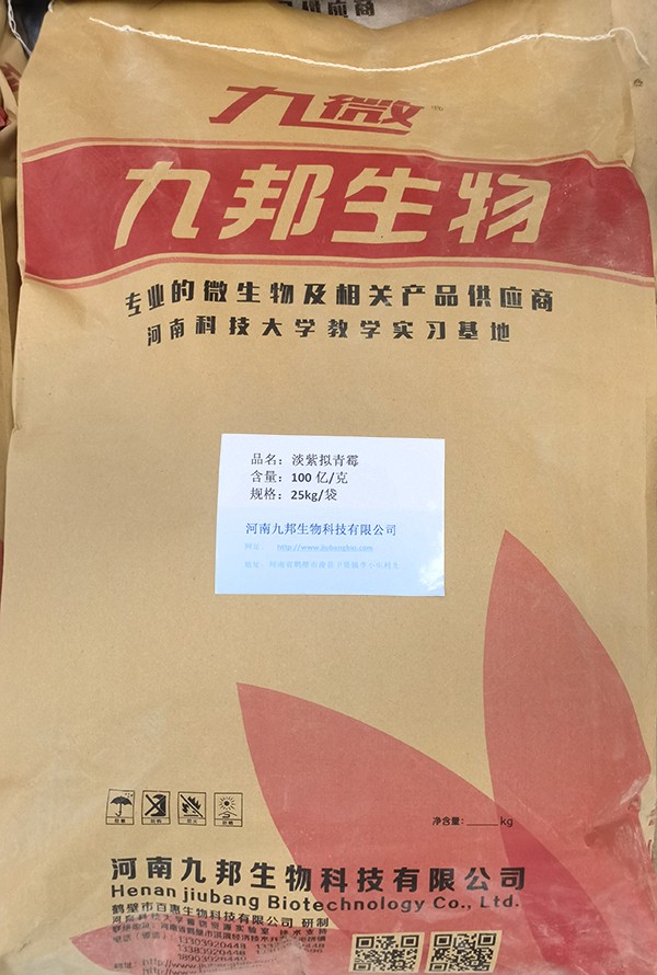100ڵù.jpg