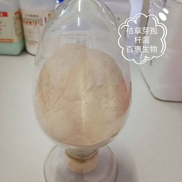 1762823700839510.jpg 枯草6 拷貝.jpg