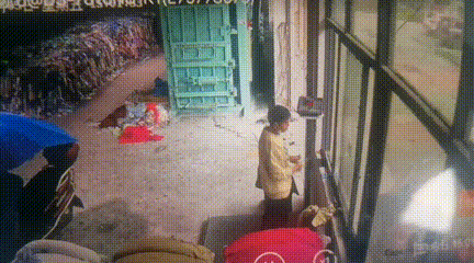 1.gif