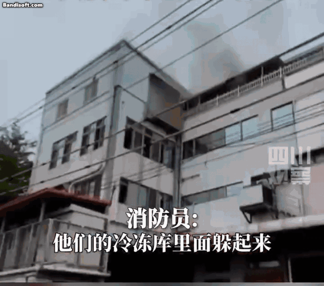 5.gif
