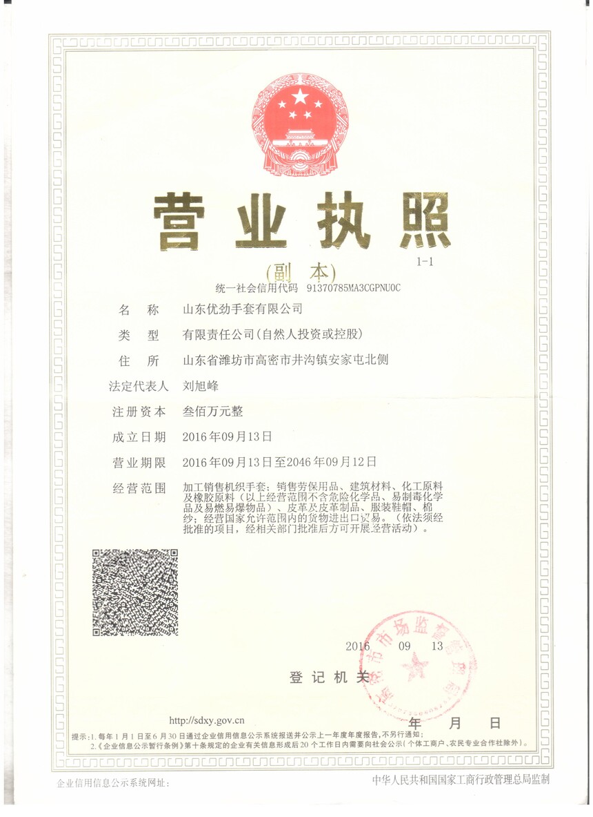 II(y)(zh) 001.jpg