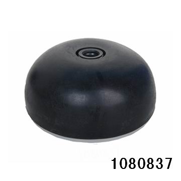 1080837.jpg