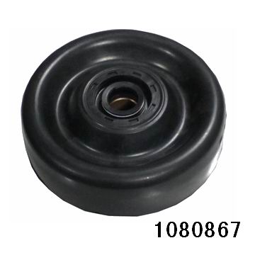 1080867.jpg