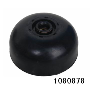 1080878.jpg