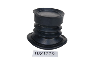 1081229~ ϧ40, §55, 43.jpg