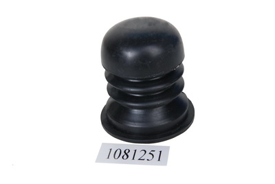 1081251 ϧ37, §47, 48.jpg