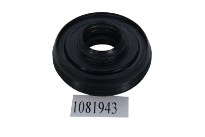 1081943 (1)ھ24,,⾶6319.jpg
