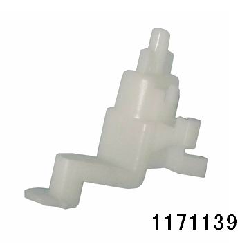 1171139.jpg