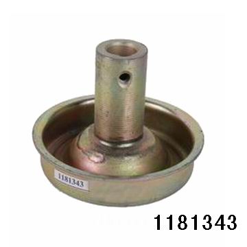 1181343.jpg