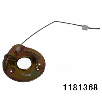 1181368.jpg