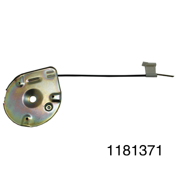 1181371.jpg