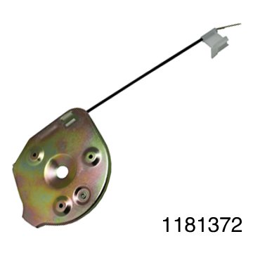 1181372.jpg
