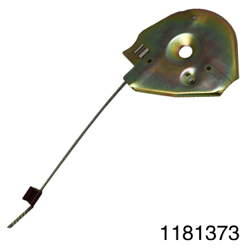 1181373.jpg