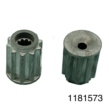 1181573.jpg