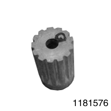 1181576.jpg