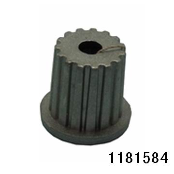 1181584.jpg