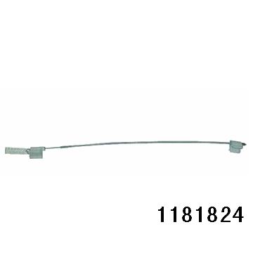 1181824.jpg