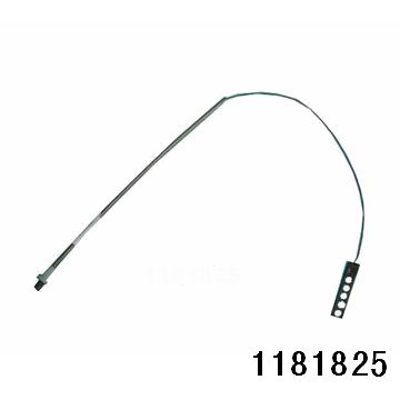 1181825.jpg