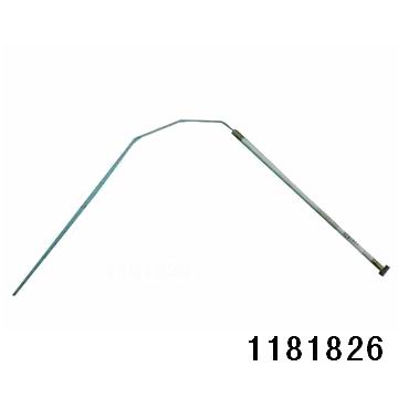 1181826.jpg