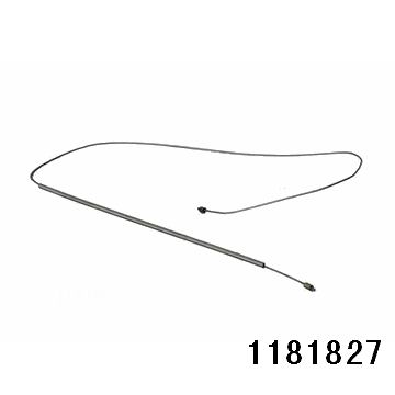 1181827.jpg