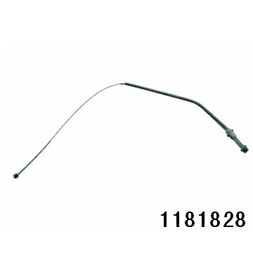 1181828.jpg