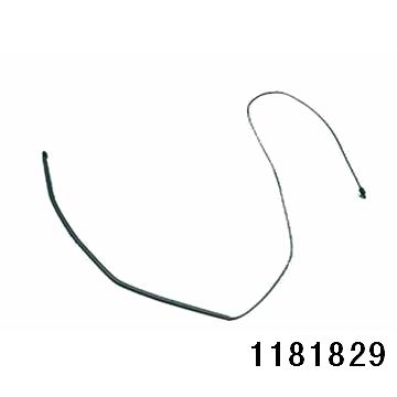 1181829.jpg