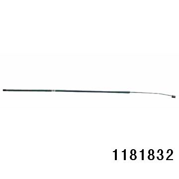1181832.jpg