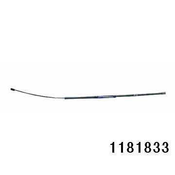 1181833.jpg
