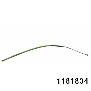 1181834.jpg