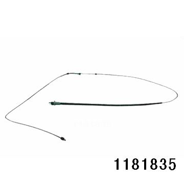 1181835.jpg