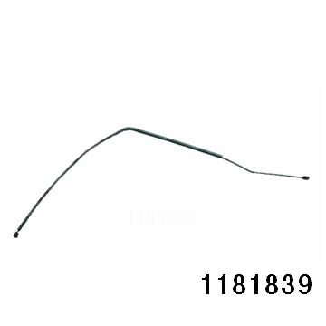 1181839.jpg