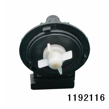 1192116.jpg