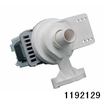 1192129.jpg