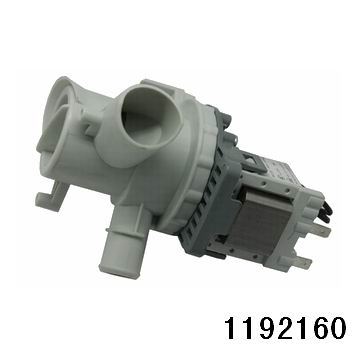 1192160.jpg