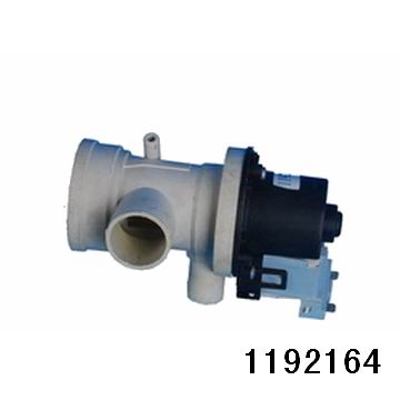 1192164.jpg