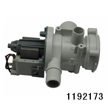 1192173.jpg