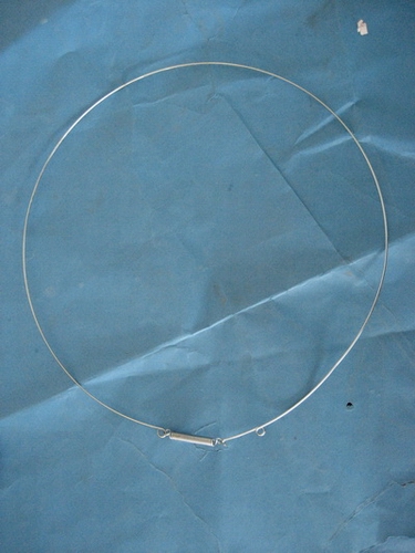 1202543.JPG